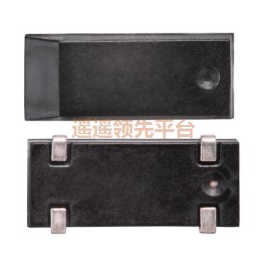 ��ɫ�մ�����lewin-�������,RSM200S����,����RALTRON����lewin-�������,RSM200S-32.768-12.5-TR